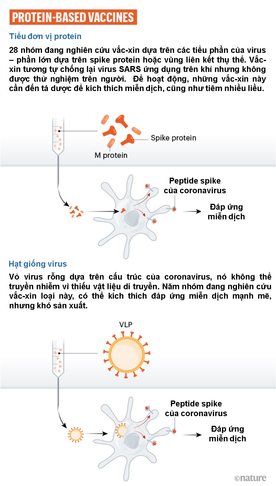 Cuộc đua vaccine Covid-19 Cuộc đua vaccine Covid-19