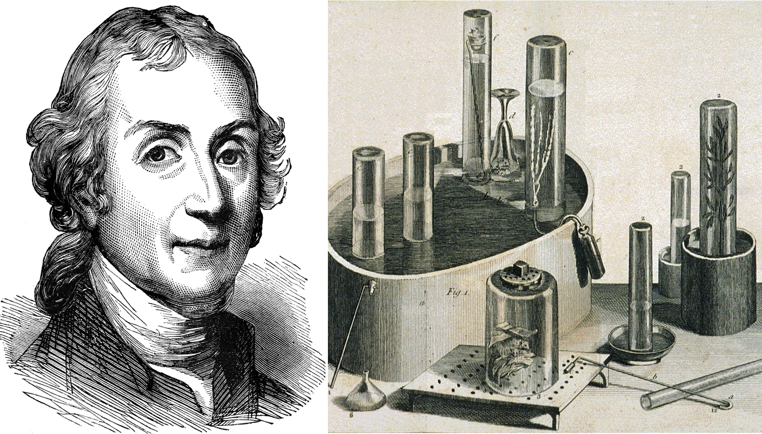 Joseph Priestley: Người phát hiện khí oxy Joseph Priestley: Người phát hiện khí oxy