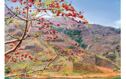 Land & Life Magazine | Vol.36 – Sơn La – Bản đồ hành chính cấp huyện & chỉ tiêu phát triển KT-XH