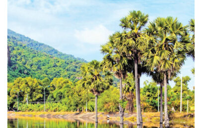 Land & Life Magazine | Vol.42 – An Giang – Bản đồ hành chính cấp huyện & chỉ tiêu phát triển KT-XH